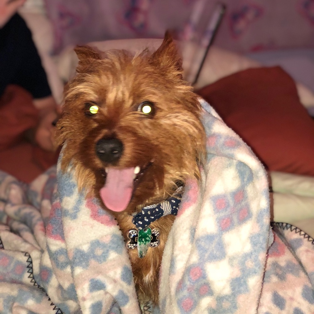 Meet your Posher, Logan